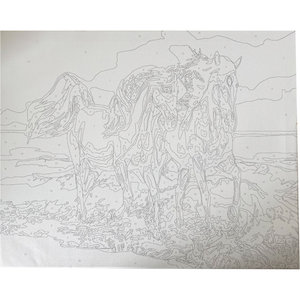 Malování podle čísel Koně 40x50 cm-2