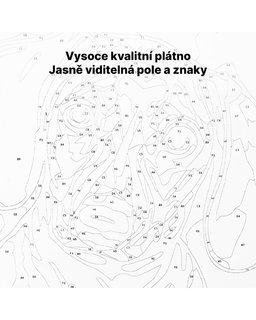 Malování podle čísel Motýlí žena-6