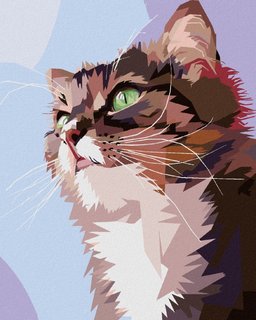 Malování podle čísel Zvědavá kočka portrét-1