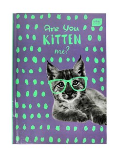 Zápisník Are you kitten me? A5, 96 listů, čistý-1