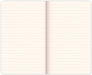 Notes A5 Mickey-3
