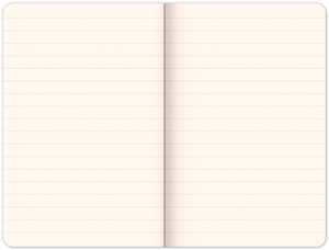 Notes A6 Mickey - ruce-3