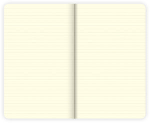 Notes A6 Pin-up girls-2