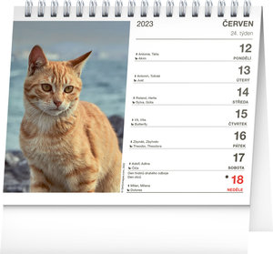 Stolní kalendář Kočky – se jmény koček 2023-2