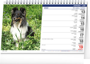 Stolní kalendář Psi – Psy CZ/SK 2022-2