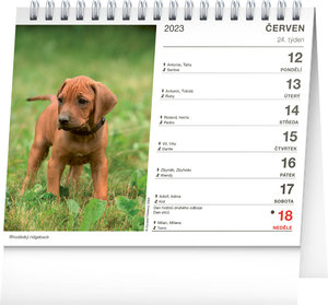 Stolní kalendář Psi – se jmény psů 2023-2