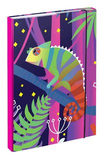Desky na školní sešity A4 Chameleon-1