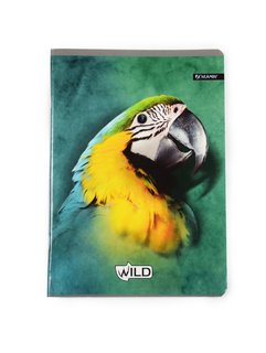 Sešit Wild papoušek, 564-1