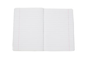 Sešit Wild papoušek, 564-2