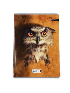 Sešit Wild sova, 564-1